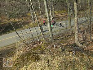 bikers in the forest park
