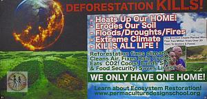 salt-lake-city-deforestration-kills-6421