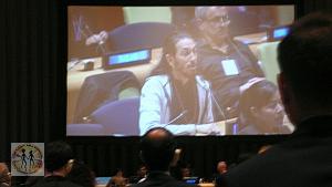 5th-un-hlf-on-cop-interactive-session-s